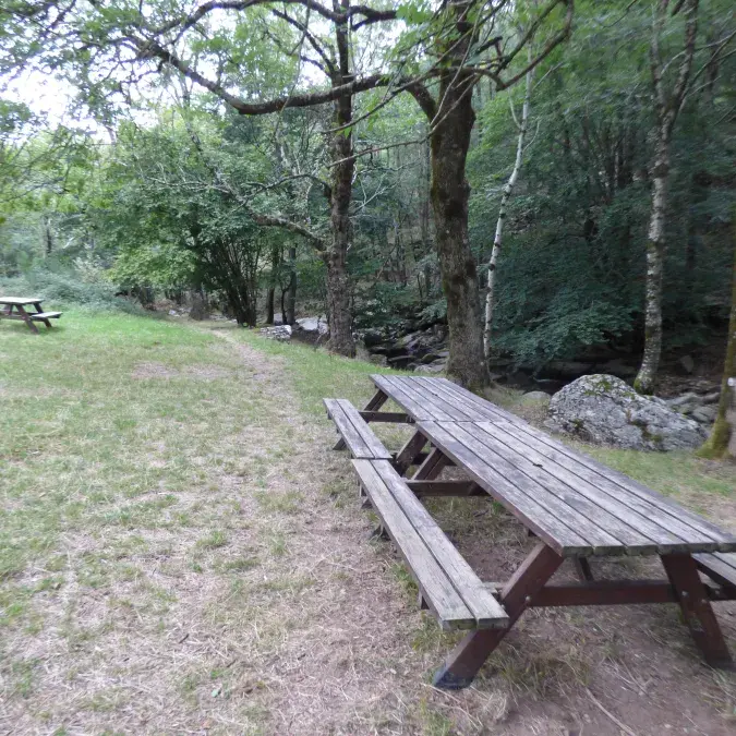 Aire de pique-nique de La Fage_Rosis