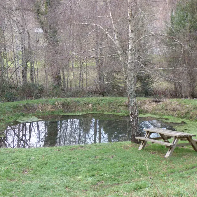 Aire de pique-nique de Fontainous_Nages