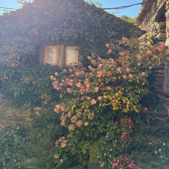 Le Gîte du Caroux_Rosis