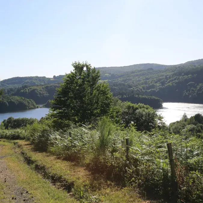 Fendrich - Le Carpe Diem - gîte 407_La Salvetat-sur-Agout