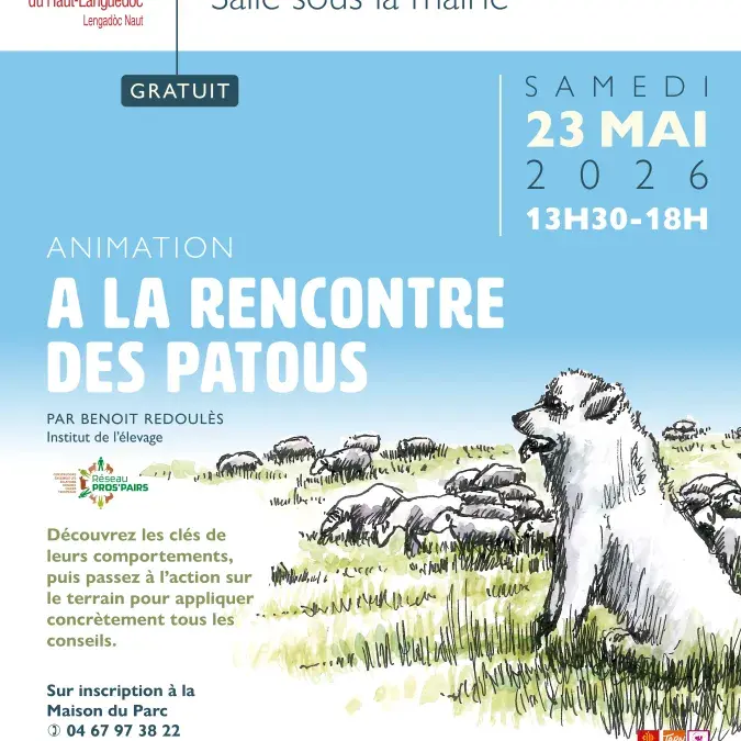 Sortie "A la rencontre des patous"_Anglès