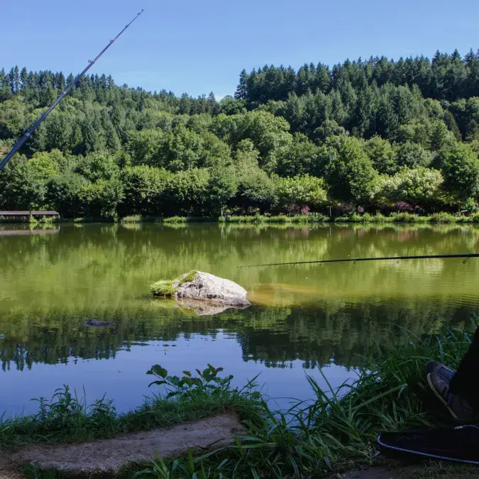 Camping Municipal la Rabaudié