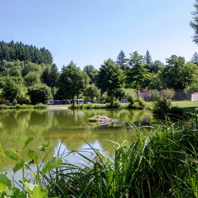 Camping Municipal la Rabaudié