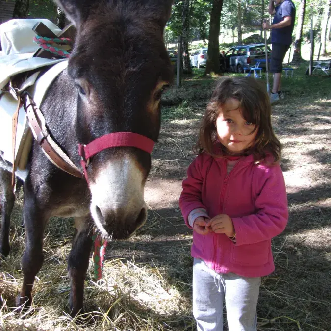 Balade à dos d'âne
