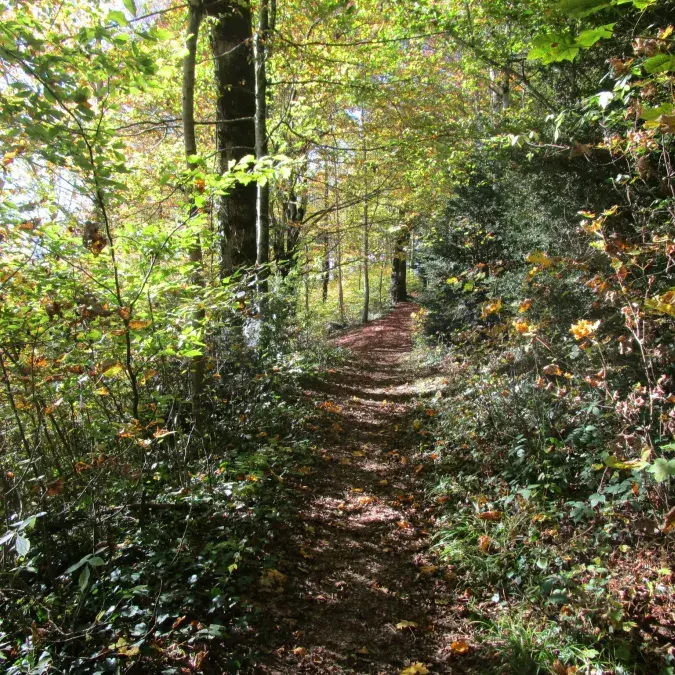 Sentier de découverte de Calmels