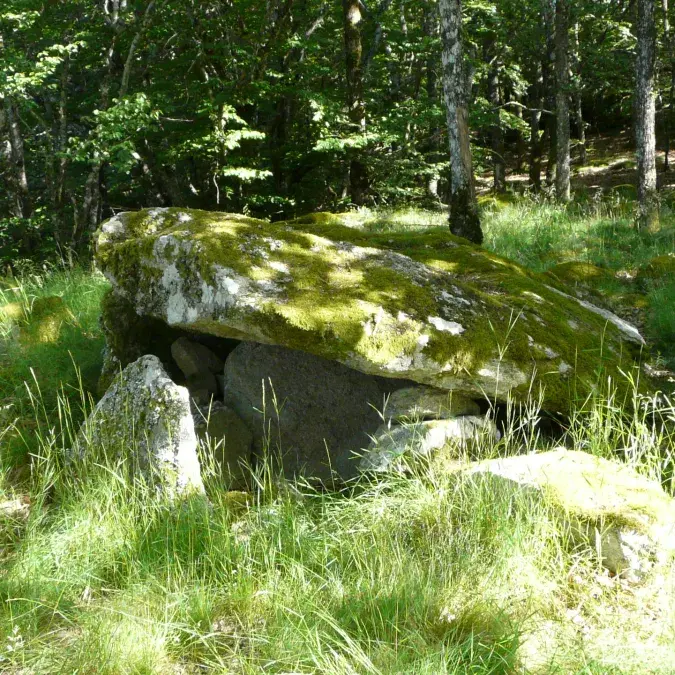 Dolmen de castelsec