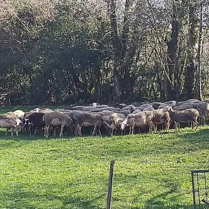 GAEC du Champs de la Fontaine