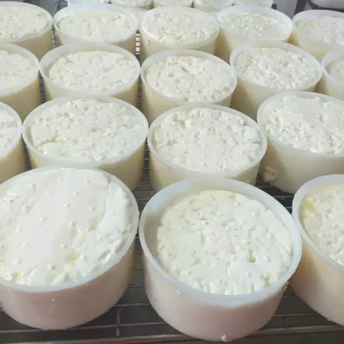 GAEC du Champs de la Fontaine