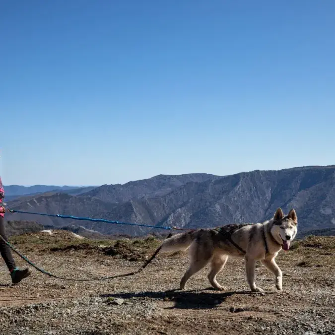 Cani-rando