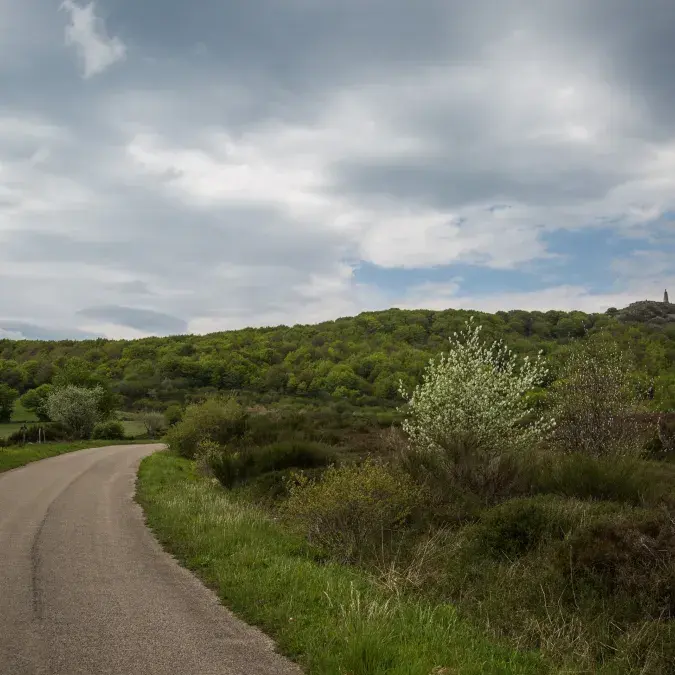 Circuit touristique