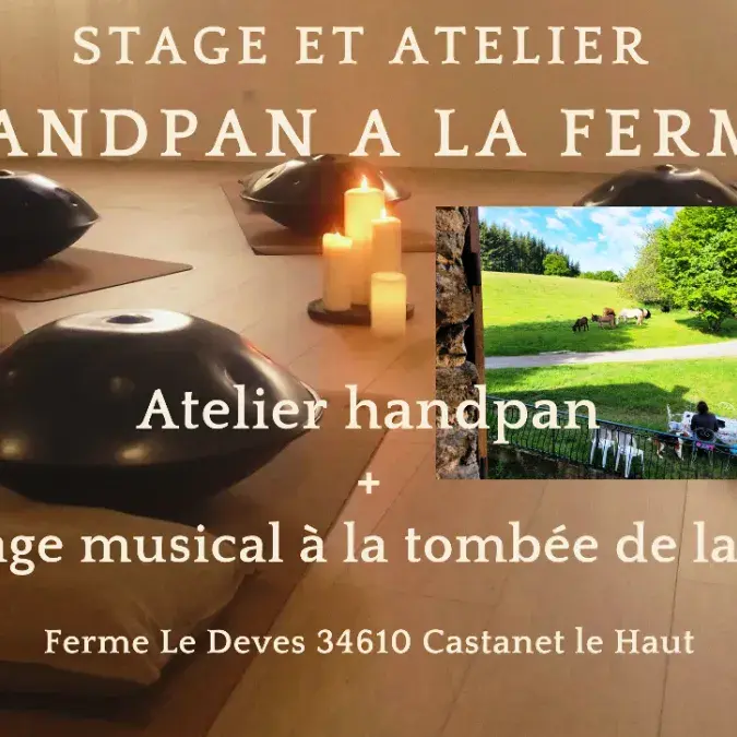Stage et atelier de Handpan