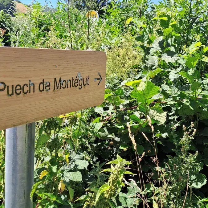 Montaigut - Murat-sur-Vèbre, Tarn - G128 Gîtes de France Tarn