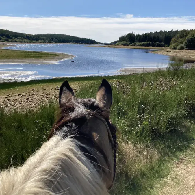 Balade à cheval