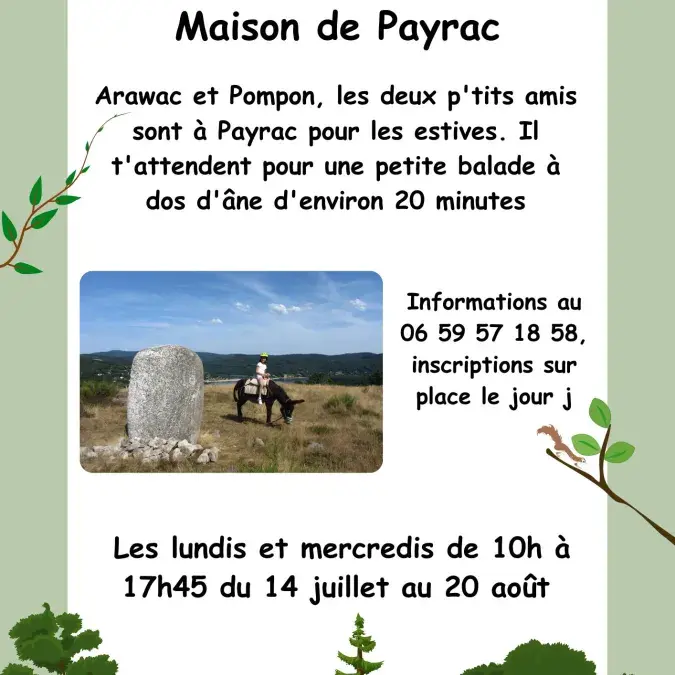 Balade à dos d'ânes à Payrac