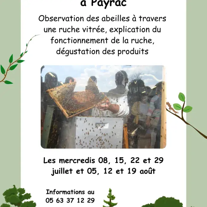 De l'abeille au miel à Payrac