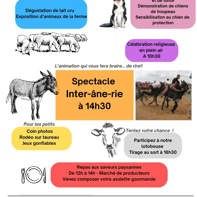 Programme foire de payrac