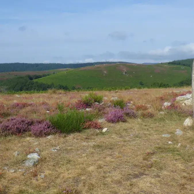 Statue menhir