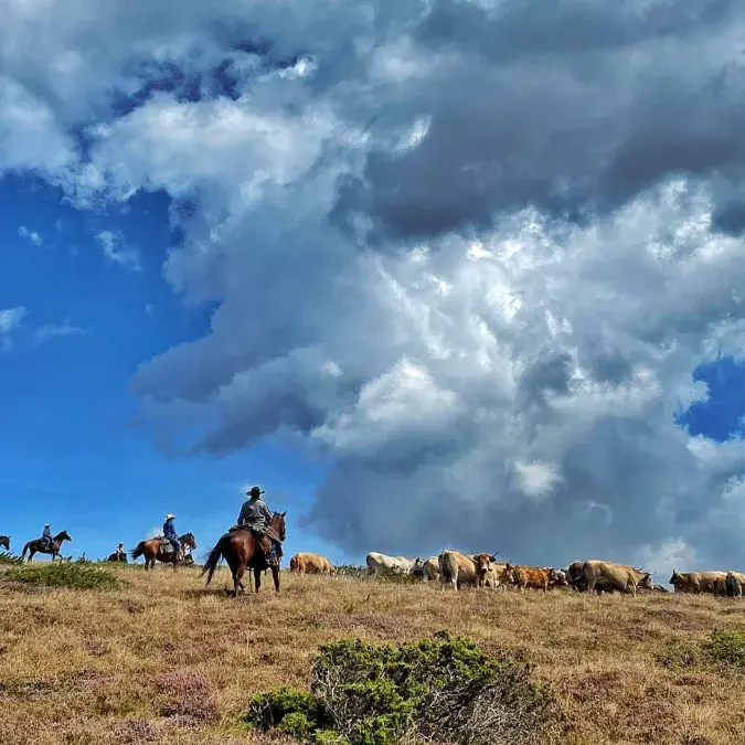 Wildust Ranch_Le Soulié