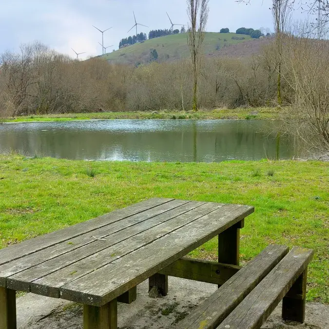 Aire de pique-nique - Plan d'eau_Barre
