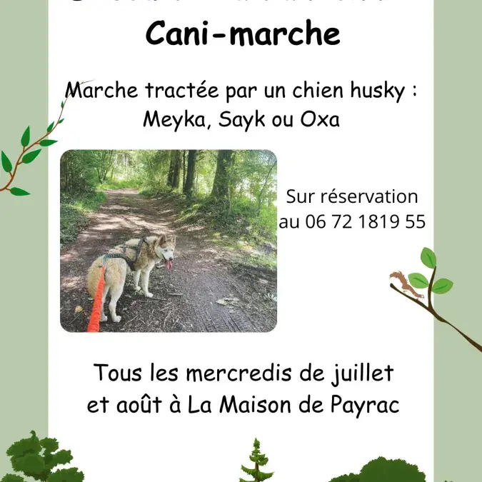 Cani-marche