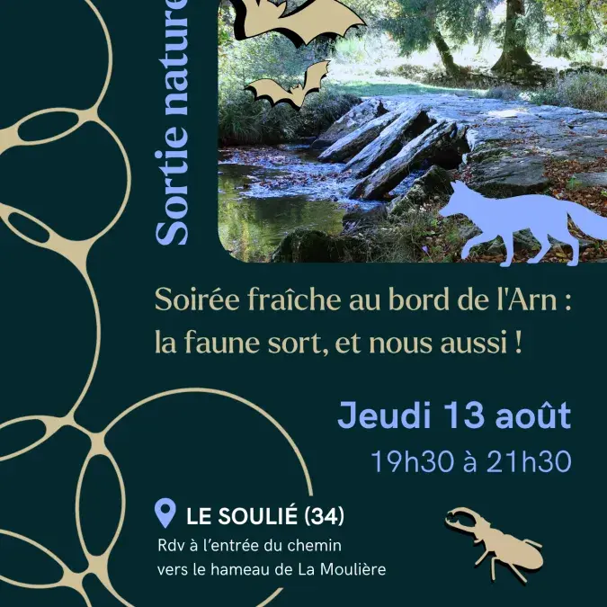 Sortie nature