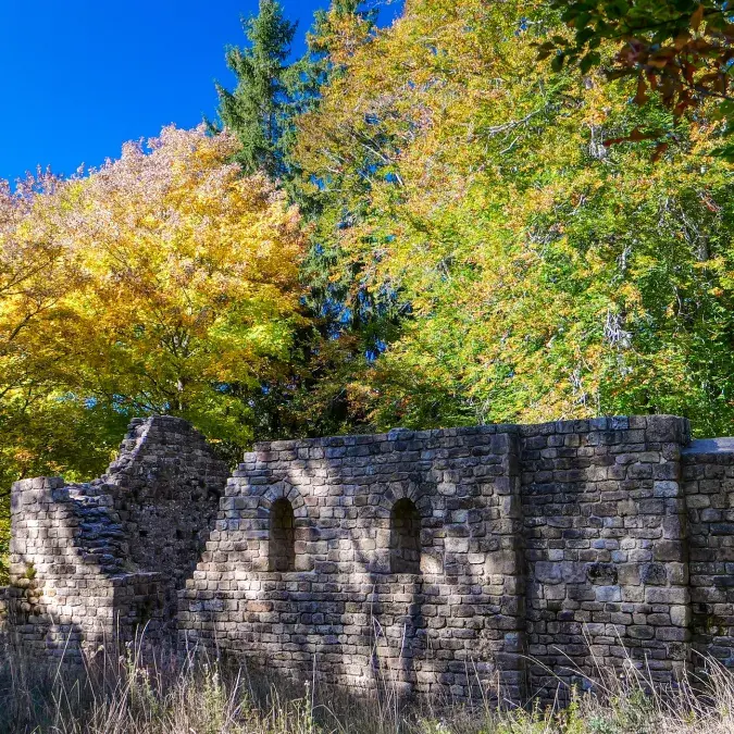 Vestiges de l’Eglise de Saint Pierre de l’Espinouse_Cambon-et-Salvergues