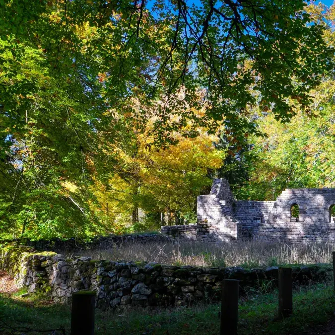 Vestiges de l’Eglise de Saint Pierre de l’Espinouse_Cambon-et-Salvergues