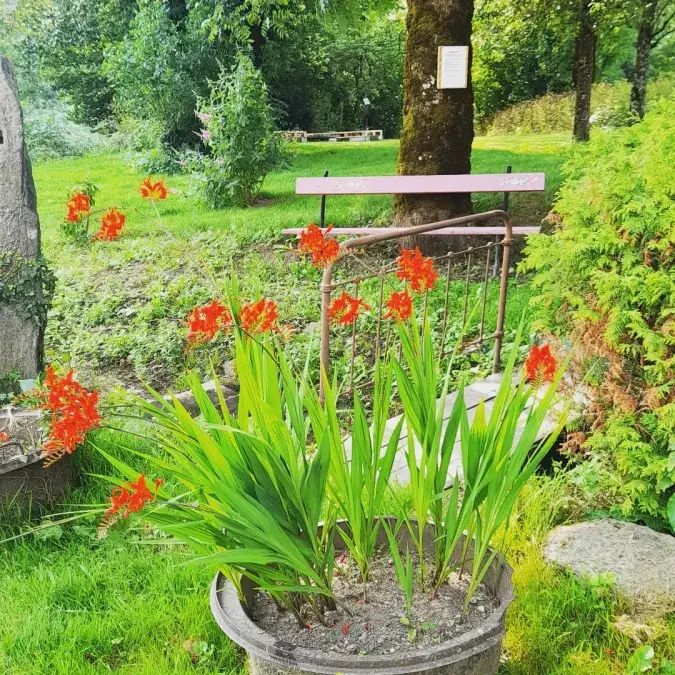 Parc