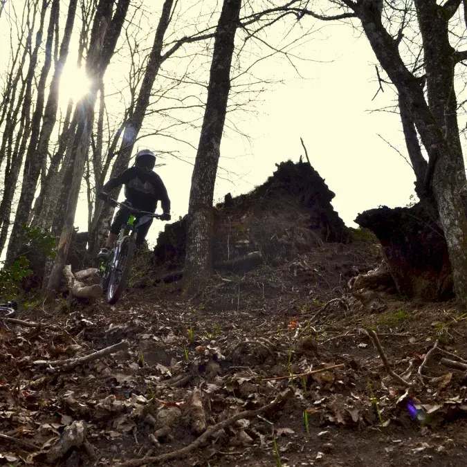 Circuit VTT
