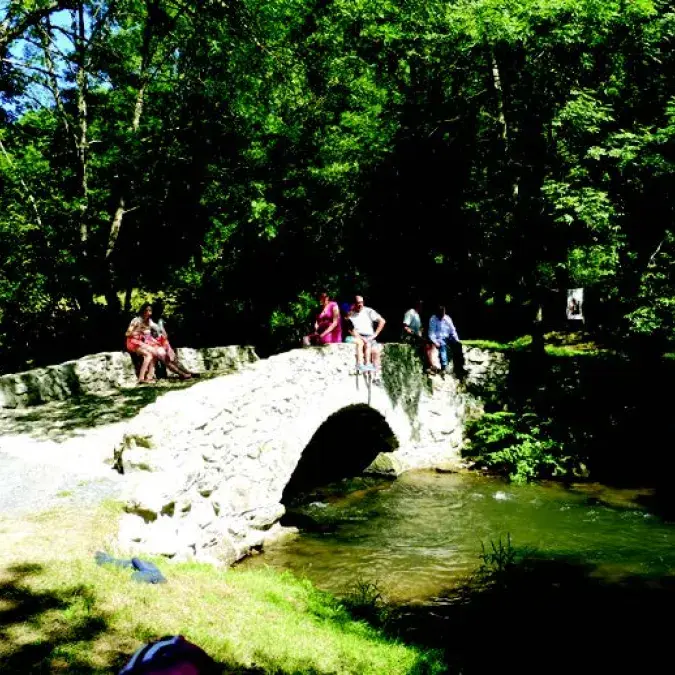 Le Viau