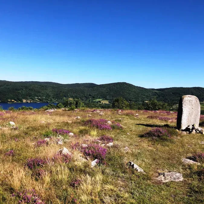 GR® de Pays Tours en Monts & Lacs en Haut-Languedoc - Liaison : le pont du Viau par Payrac_Murat-sur-Vèbre