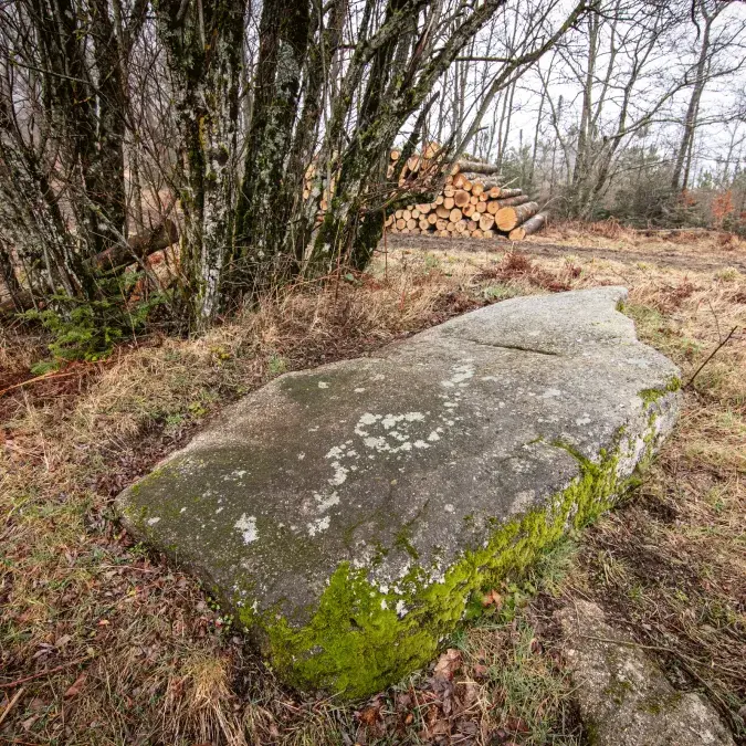 Statue-menhir du col de la Frajure_Nages