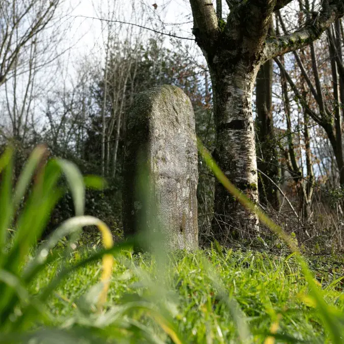 Statue-menhir des Ouvradous 1 dans son environnement