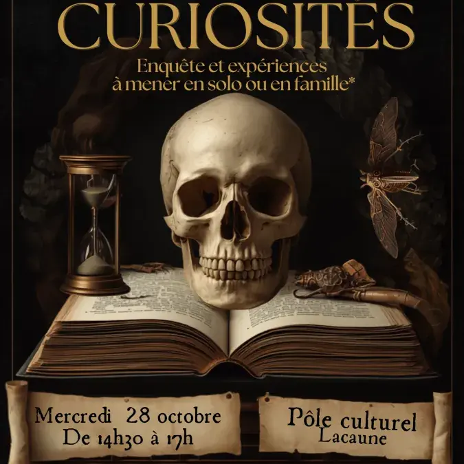 Le Grand cabinet des curiosités