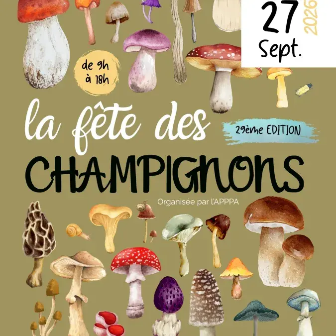 La fête des champignons