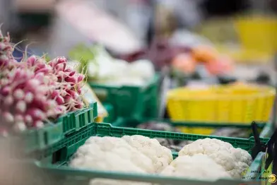 Marché hebdomadaire_La Salvetat-sur-Agout