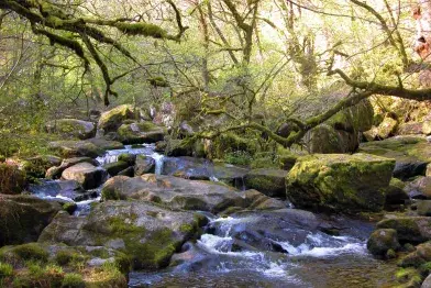 La Haute Vallée de l'Agout