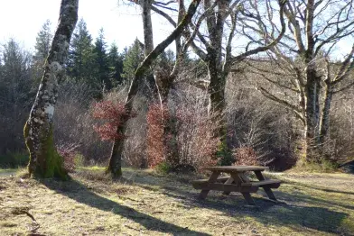 Aire de pique-nique du ruisseau des Planquettes_La Salvetat-sur-Agout