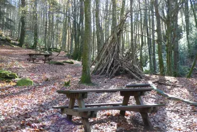 Aire de pique-nique de l'Enfant Sauvage_Lacaune