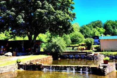 Pisciculture Les Uguettes_La Salvetat-sur-Agout