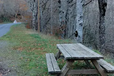 Aire de pique-nique (route du lac)_Nages
