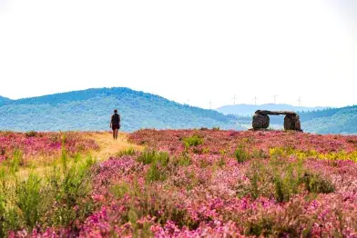 Le chemin de Tsaquarello et variante sentier de Payrac_Nages