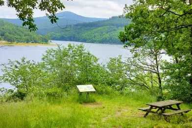 Aire de pique-nique de la Presqu'île_Nages