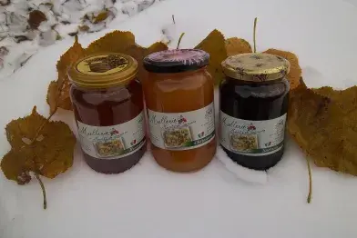 Miellerie des Monts de Lacaune_Senaux