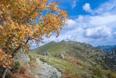 Portail de Roquandouire au kilomètre 16