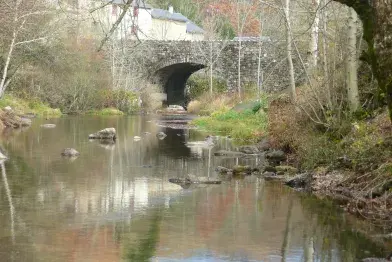 Agout sous le pont de Cambon