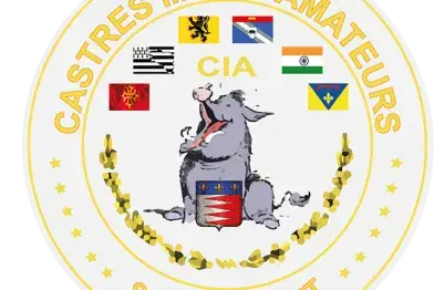 Stage d'impro - Festival du théâtre amateur_Lacaune