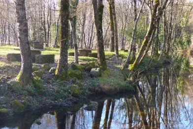 Aire de pique-nique de l'île sur l'Agout_Fraisse-sur-Agout
