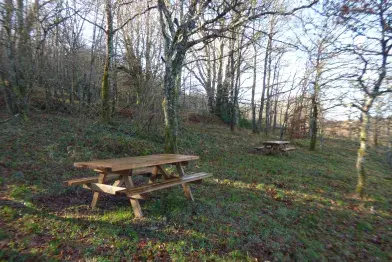 Aire de pique-nique de la vallée de l'Arn_La Salvetat-sur-Agout