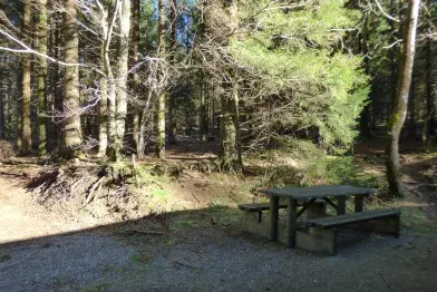 Aire de pique-nique de Picotalen_Lacaune